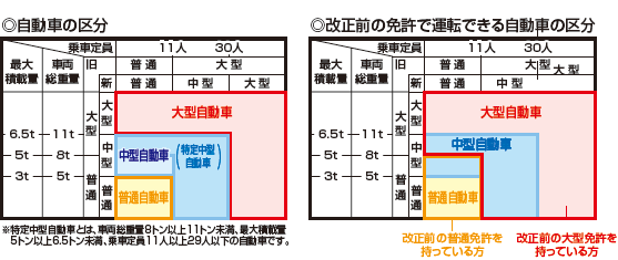 中型免許制度について
